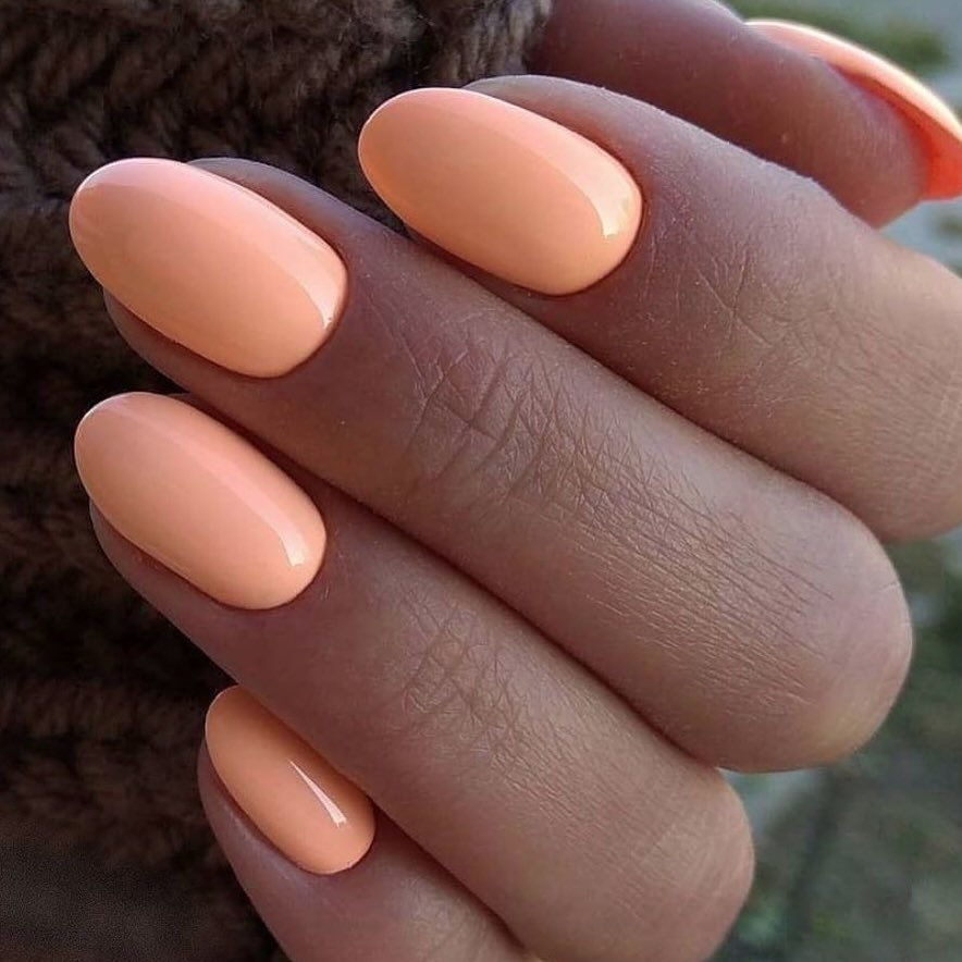 glossy pastel peach manicure on neat oval shaped nails with a sweater background